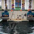 100 5721  Delfinarium w Warnie